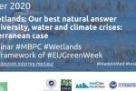 Redefining wetlands for better protection