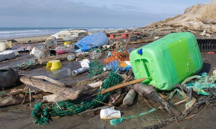 Mediterranean ecosystem-based management calls for private sector involvement