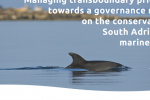 ETC-UMA leads the path towards better governance of the Adriatic- Ionian marine ecosystem