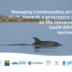 ETC-UMA leads the path towards better governance of the Adriatic- Ionian marine ecosystem