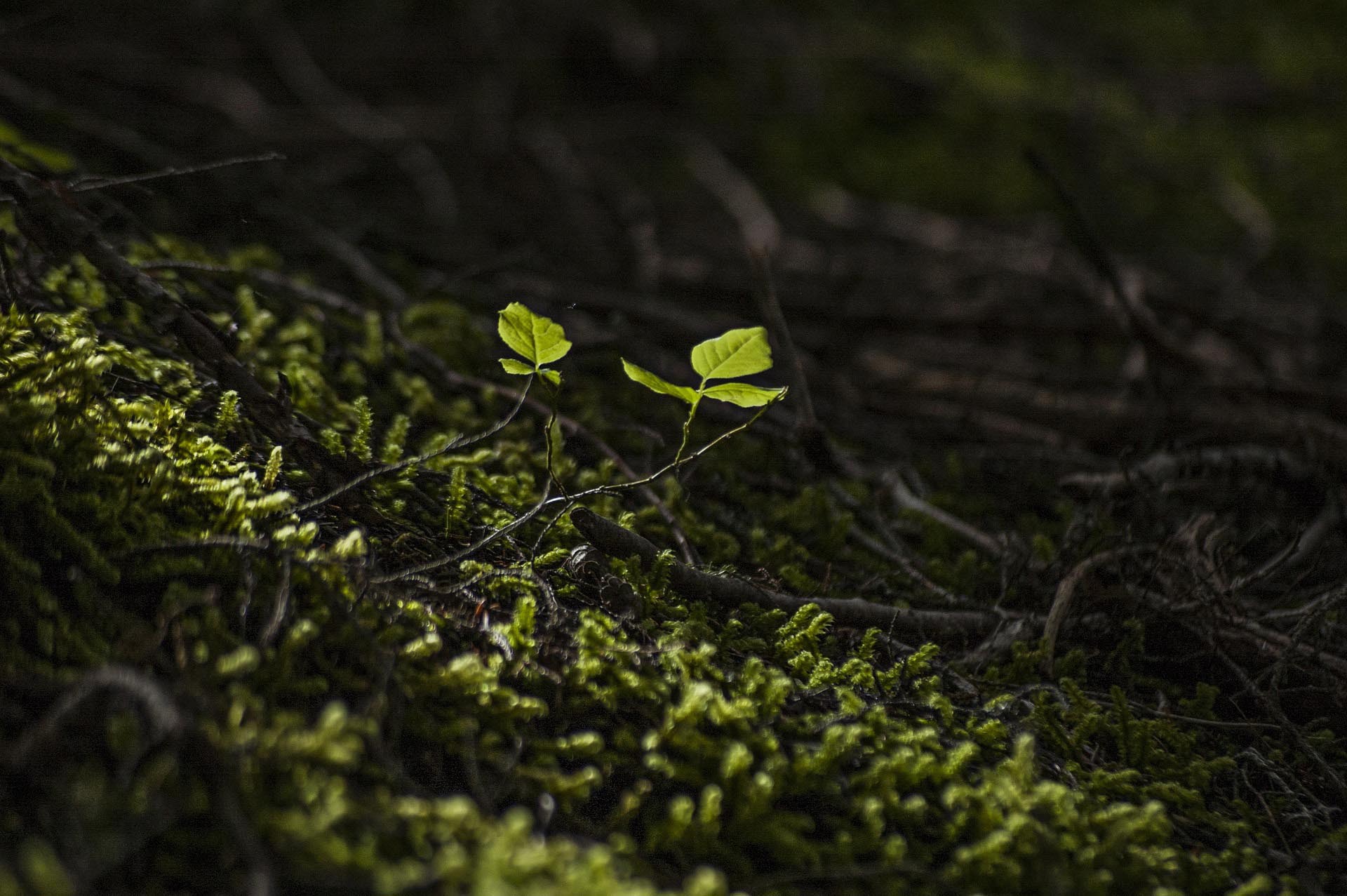 Featured image for “ETC-DI”