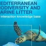 Mediterranean biodiversity interactions with marine litter: New knowledge base