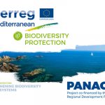 The 1st PANACeA Newsletter and Video for MED Biodiversity Protection online