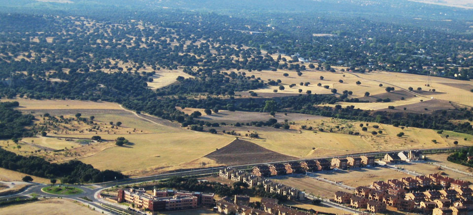 Featured image for “SOSTPARK”