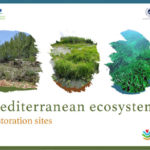 Mediterranean ecosystem restoration sites