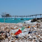 Mediterranean biodiversity challenges : acting against marine litter - November 16