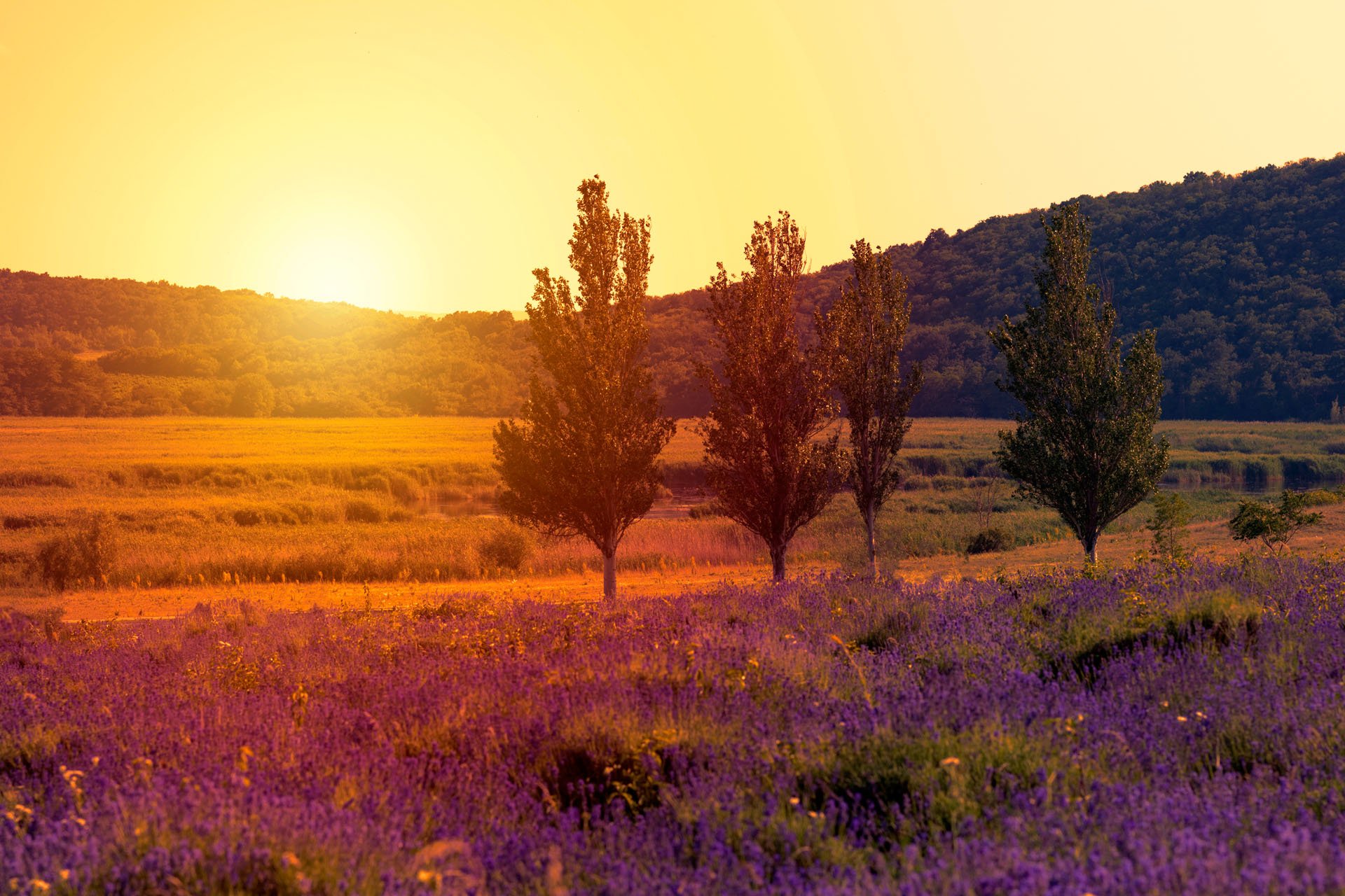 Featured image for “ENVIROGRIDS”