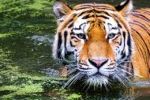 The ETC-UMA leads a global study on the ecological effectiveness of protected areas