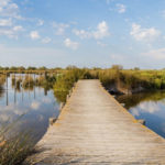 Marking wetlands and water