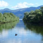 The EU Commission acknowledges the need to redress wetlands